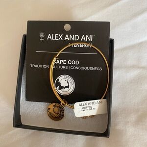 Alex and Ani Cape Cod bangle bracelet